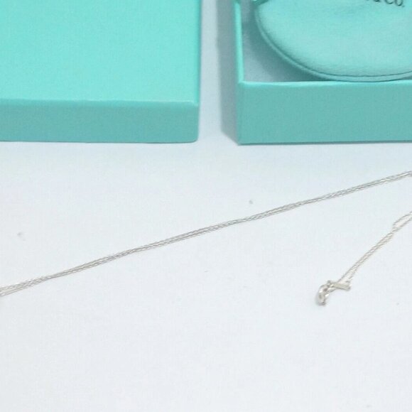 New! Tiffany & Co. Paloma Picasso Sterling Silver Flower with Diamond Necklace - Picture 4 of 5